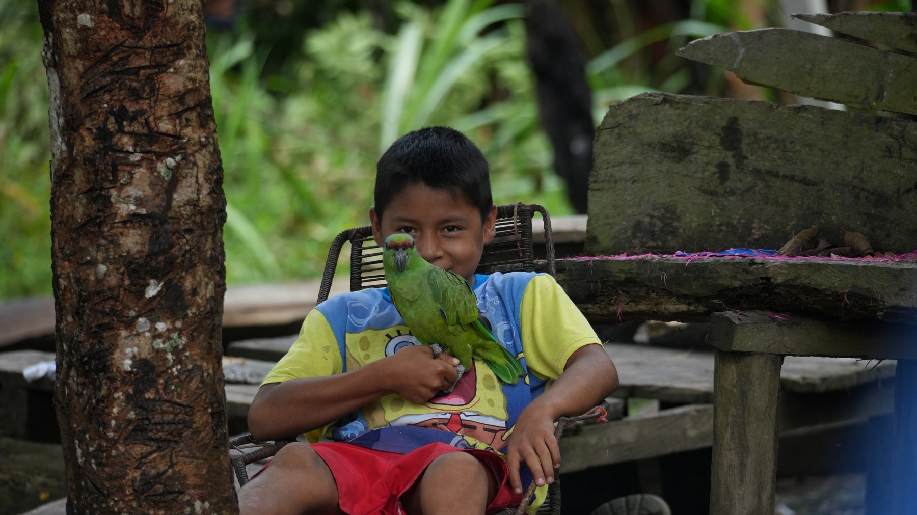 The Amazon, Iquitos Peru